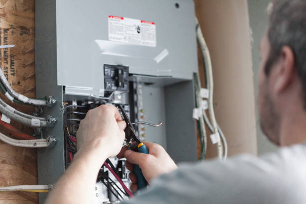 Best Electrical Panel Upgrades  in Braselton, GA